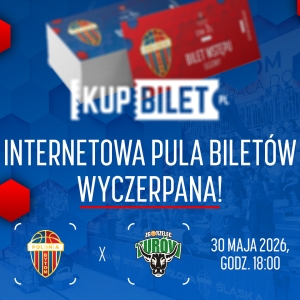 Internetowa pula biletów na finał wyprzedana